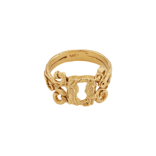 Lock Ring