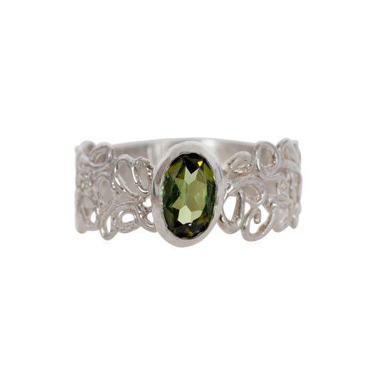 Night in the Garden Ring